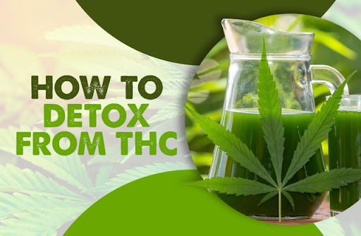 How to Detox From THC