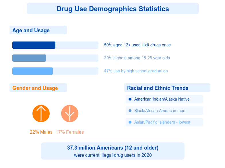 Drug Use Demographics in the USA